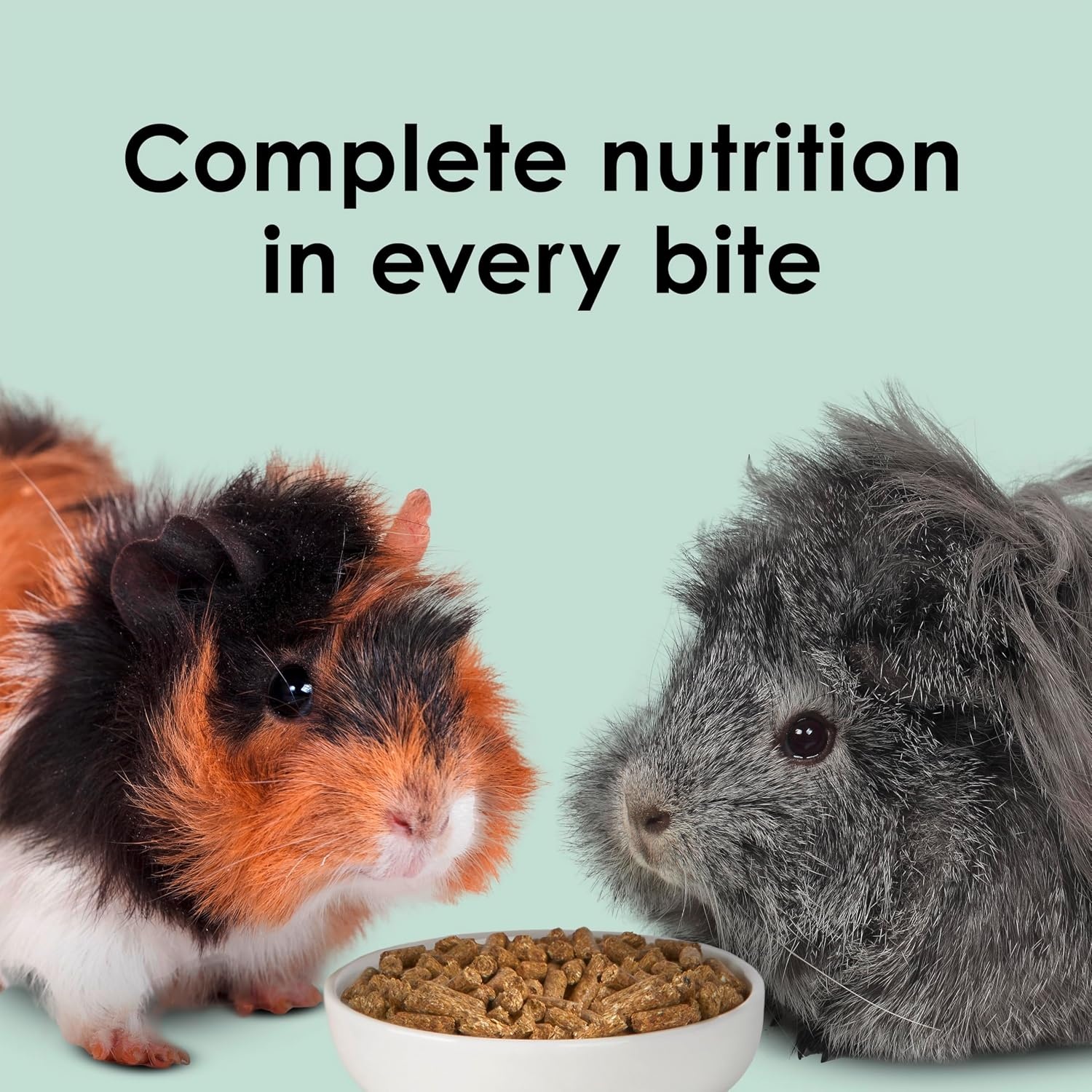 image:imageKaytee Timothy Complete Guinea Pig Food with Timothy Hay 25 Pounds5 Pound Pack of 1