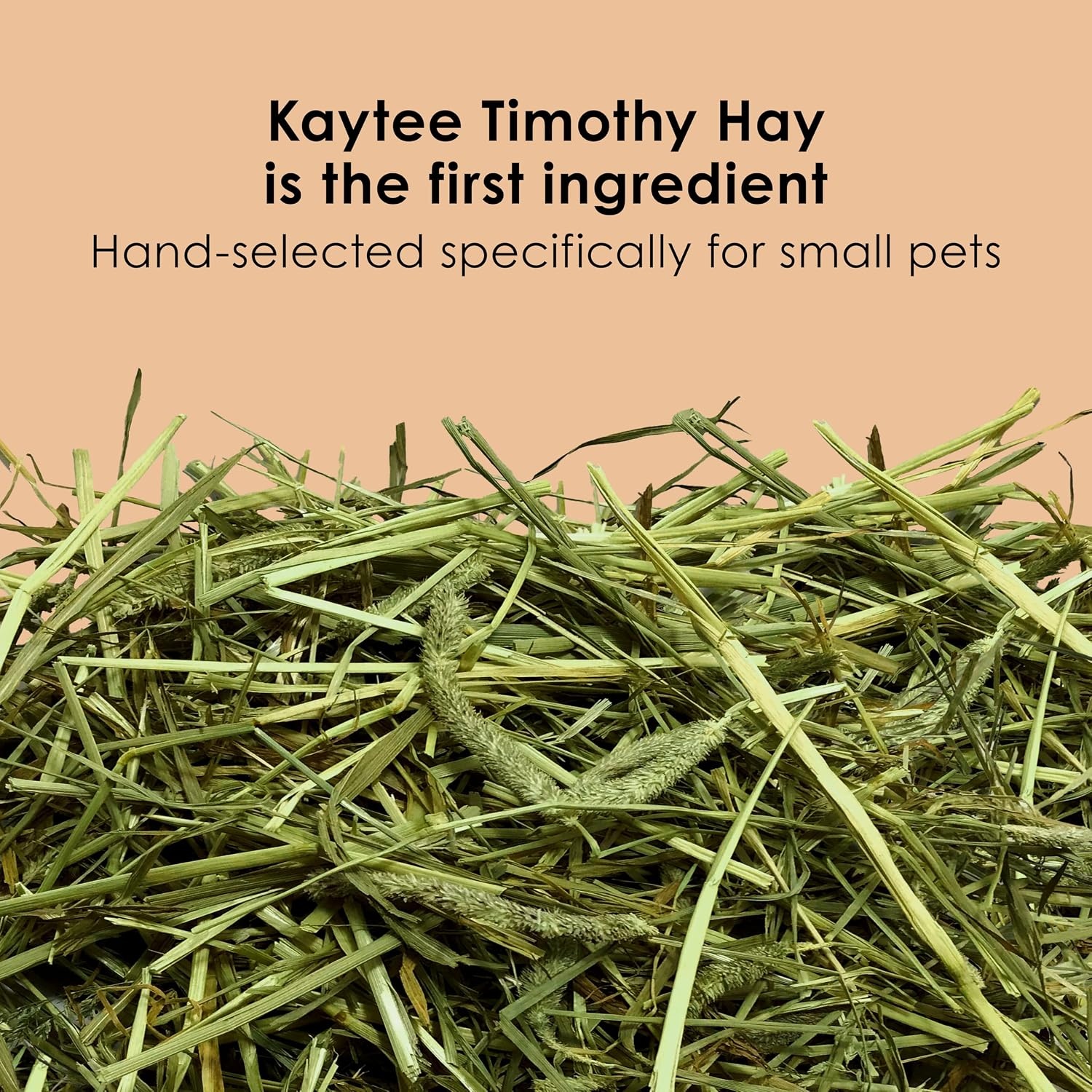 image:imageKaytee Timothy Complete Guinea Pig Food with Timothy Hay 25 Pounds95 Pound Pack of 1