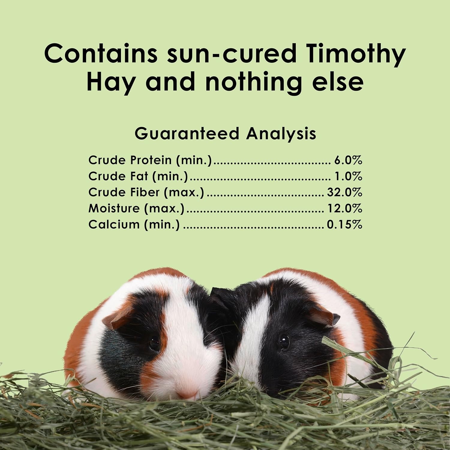 image:imageKaytee Timothy Hay High Fiber for Rabbits Guinea Pigs 48 Ounces6 Pound Pack of 1