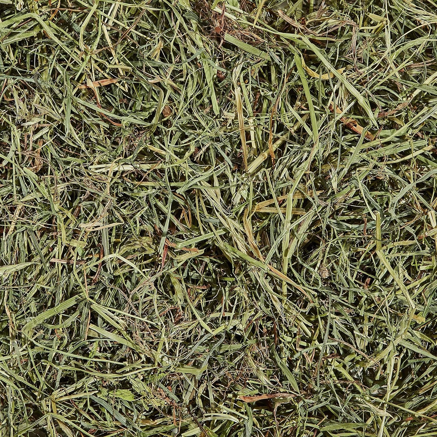 image:imageKaytee Timothy Hay amp Orchard Grass for Guinea Pigs Rabbits amp Other Small Animals 48 oz15 Pound Pack of 1