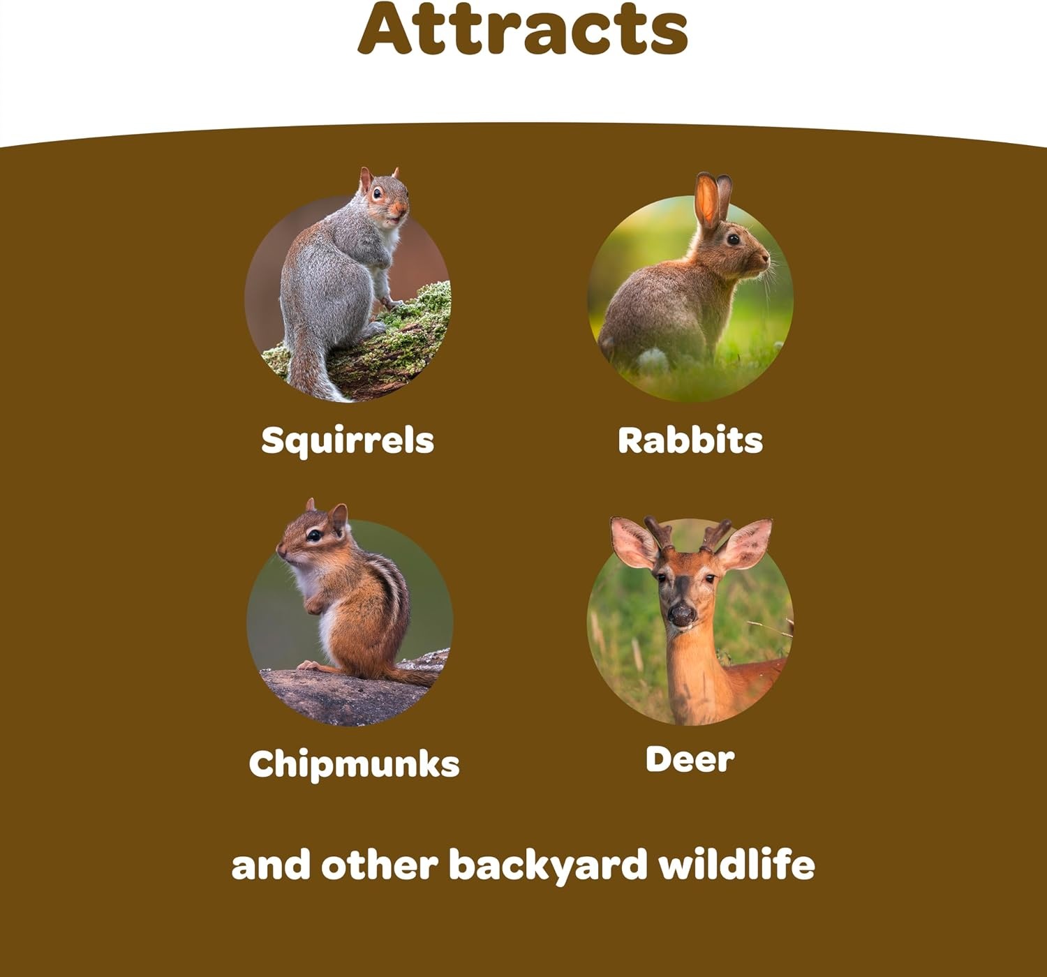 image:imageKaytee Ultimate Backyard Wildlife Food for Wild Squirrels Rabbits Chipmunks and More 8 Pounds5 Pound Pack of 1
