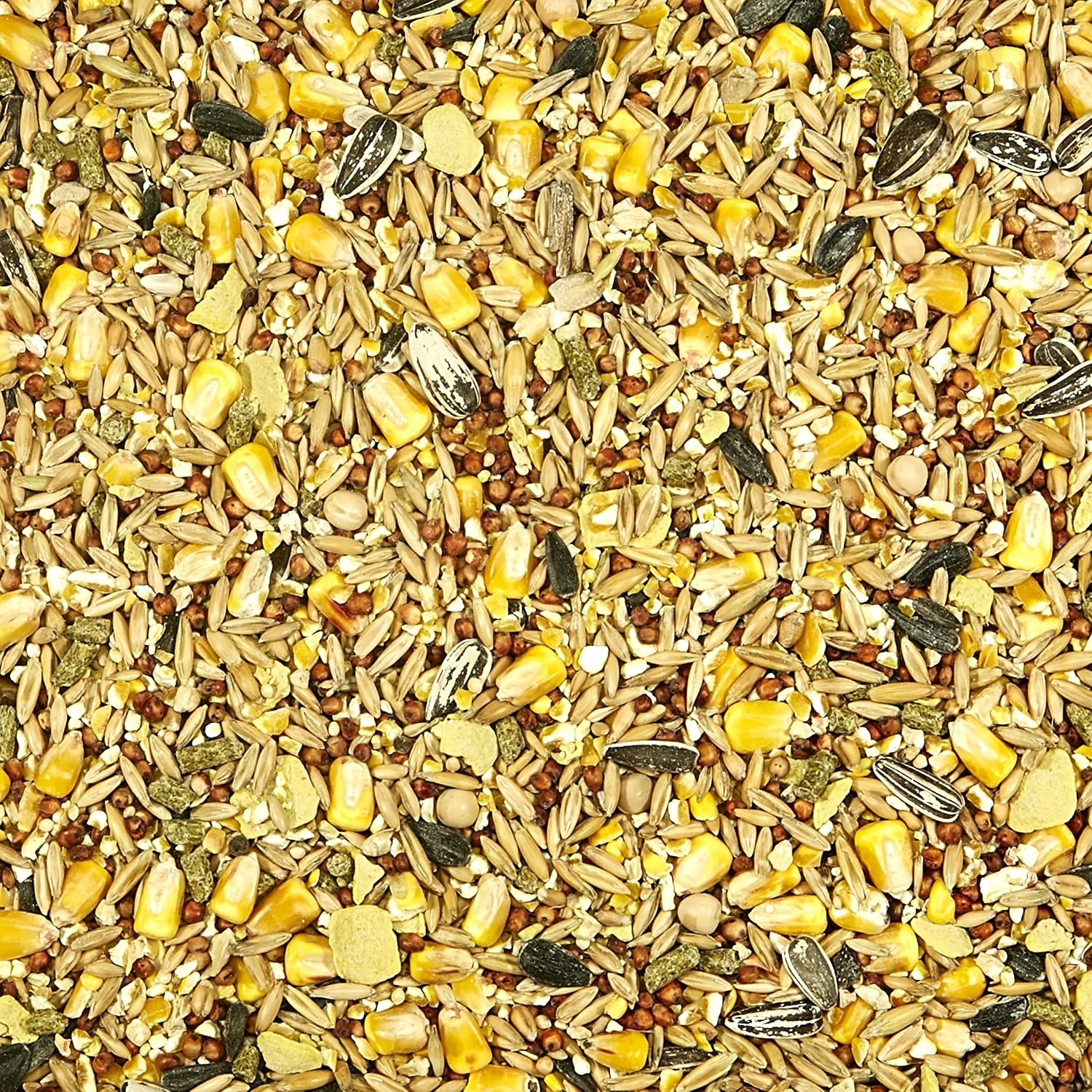 image:imageKaytee Ultimate Backyard Wildlife Food for Wild Squirrels Rabbits Chipmunks and More 8 Pounds5 Pound Pack of 2