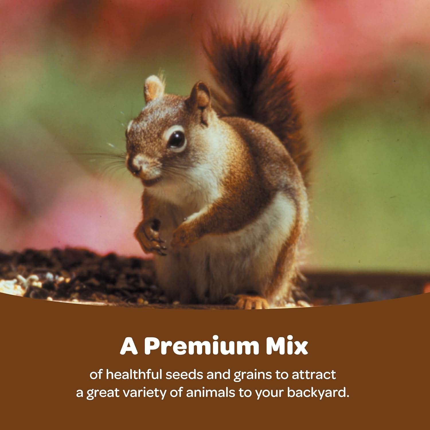 image:imageKaytee Ultimate Backyard Wildlife Food for Wild Squirrels Rabbits Chipmunks and More 8 Pounds8 Pound Pack of 1