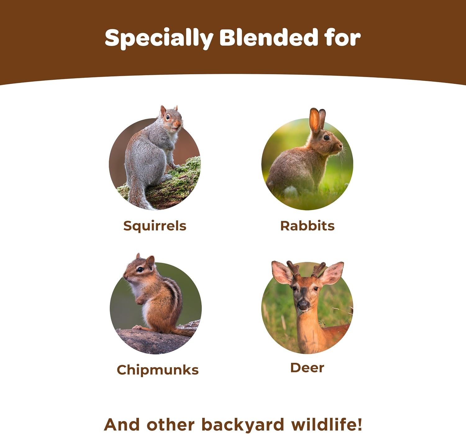 image:imageKaytee Ultimate Backyard Wildlife Food for Wild Squirrels Rabbits Chipmunks and More 8 Pounds8 Pound Pack of 1
