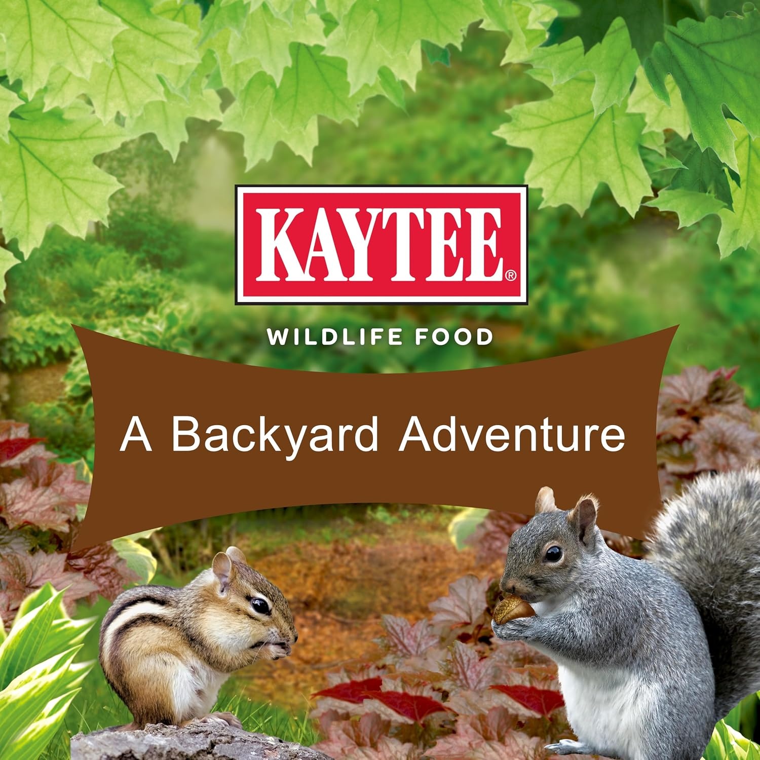 image:imageKaytee Ultimate Backyard Wildlife Food for Wild Squirrels Rabbits Chipmunks and More 8 Pounds8 Pound Pack of 1