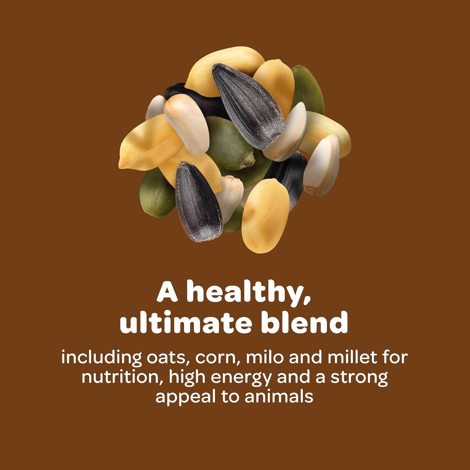 image:imageKaytee Ultimate Backyard Wildlife Food for Wild Squirrels Rabbits Chipmunks and More 8 Pounds8 Pound Pack of 1