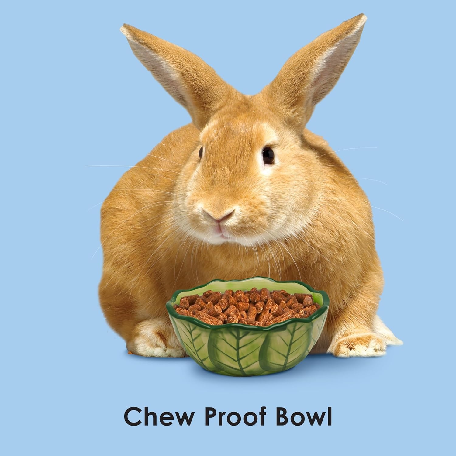 image:imageKaytee VegeTBowl Cabbage 6 inches GreenGreen