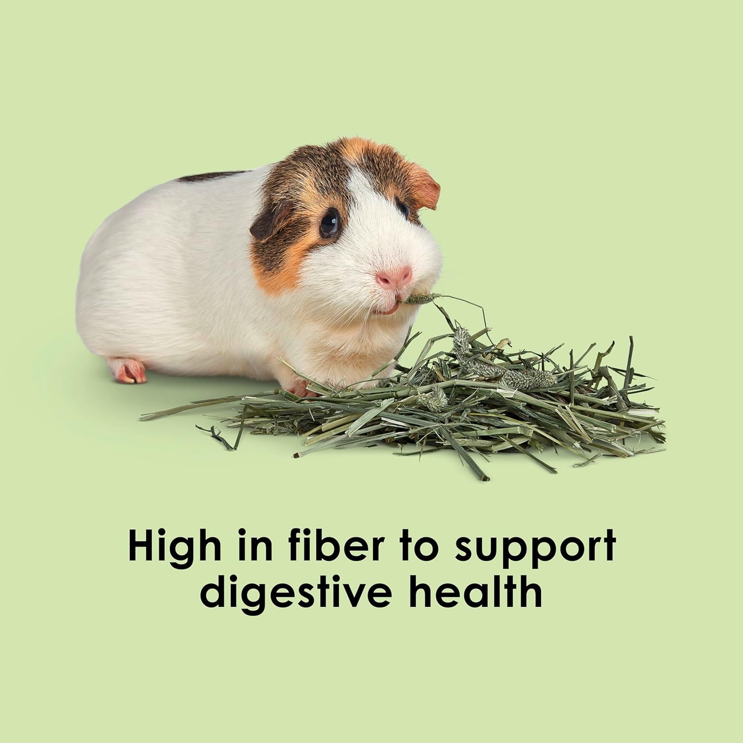image:imageKaytee Wafer Cut Timothy Hay for Rabbit amp Guinea Pigs 180 Ounce375 Pound Pack of 1