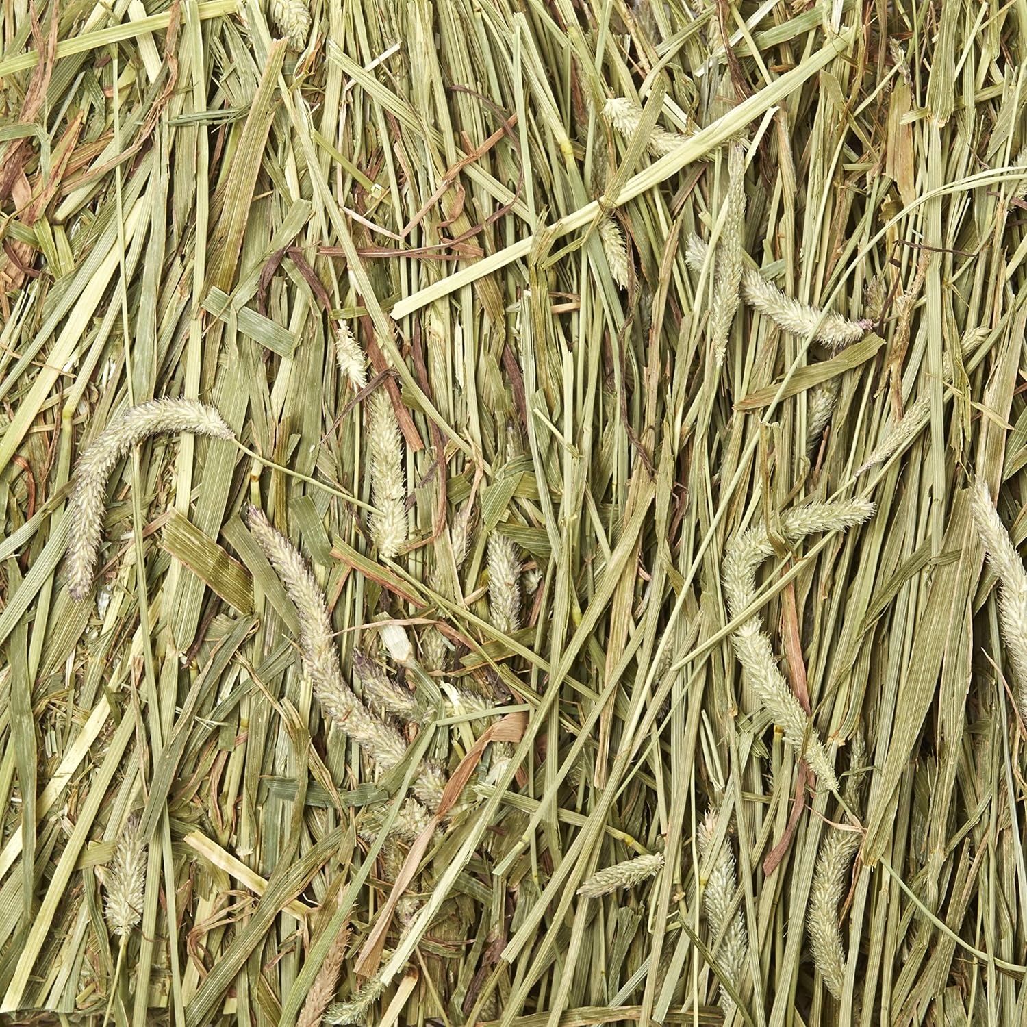 image:imageKaytee Wafer Cut Timothy Hay for Rabbit amp Guinea Pigs 180 Ounce375 Pound Pack of 3