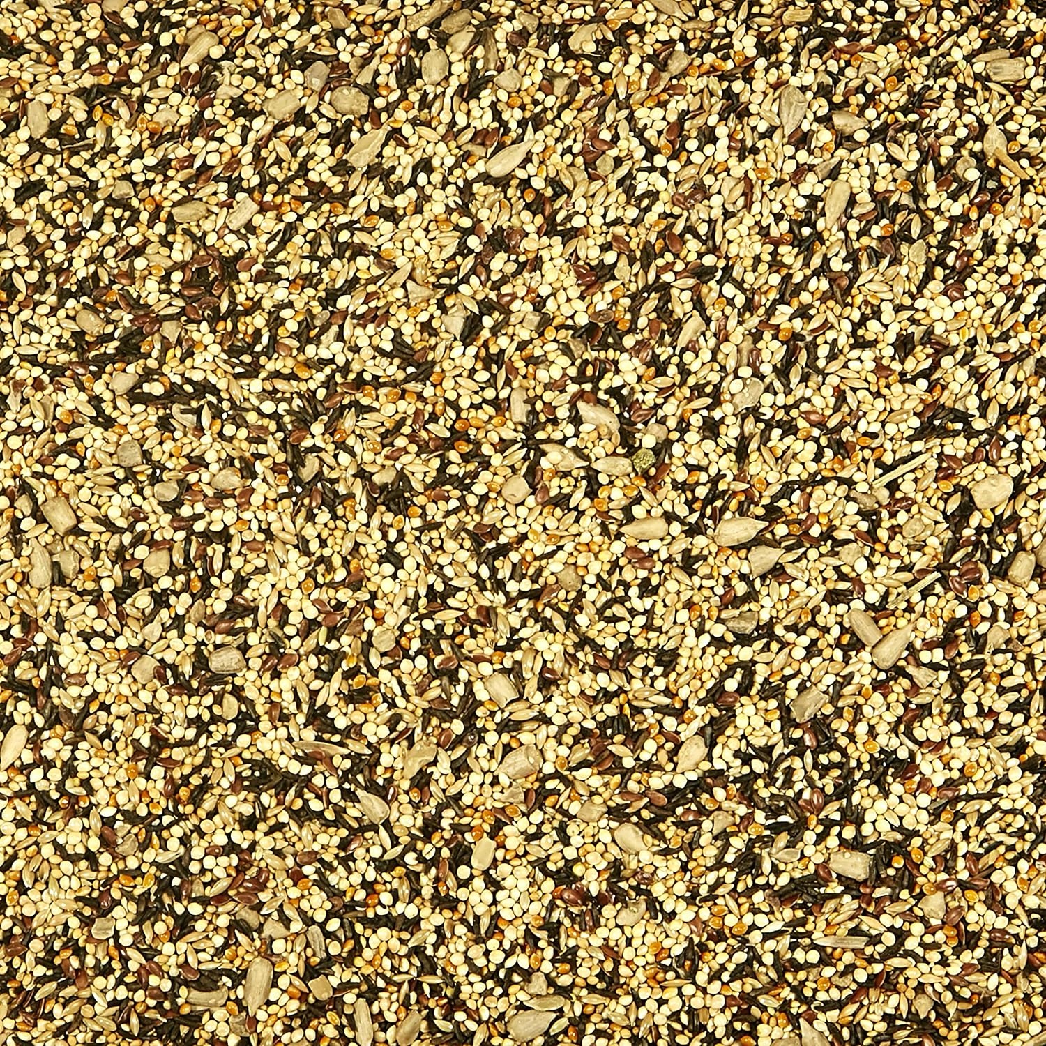 image:imageKaytee Wild Bird Finch Food Blend 3 lb3 Pound Pack of 1
