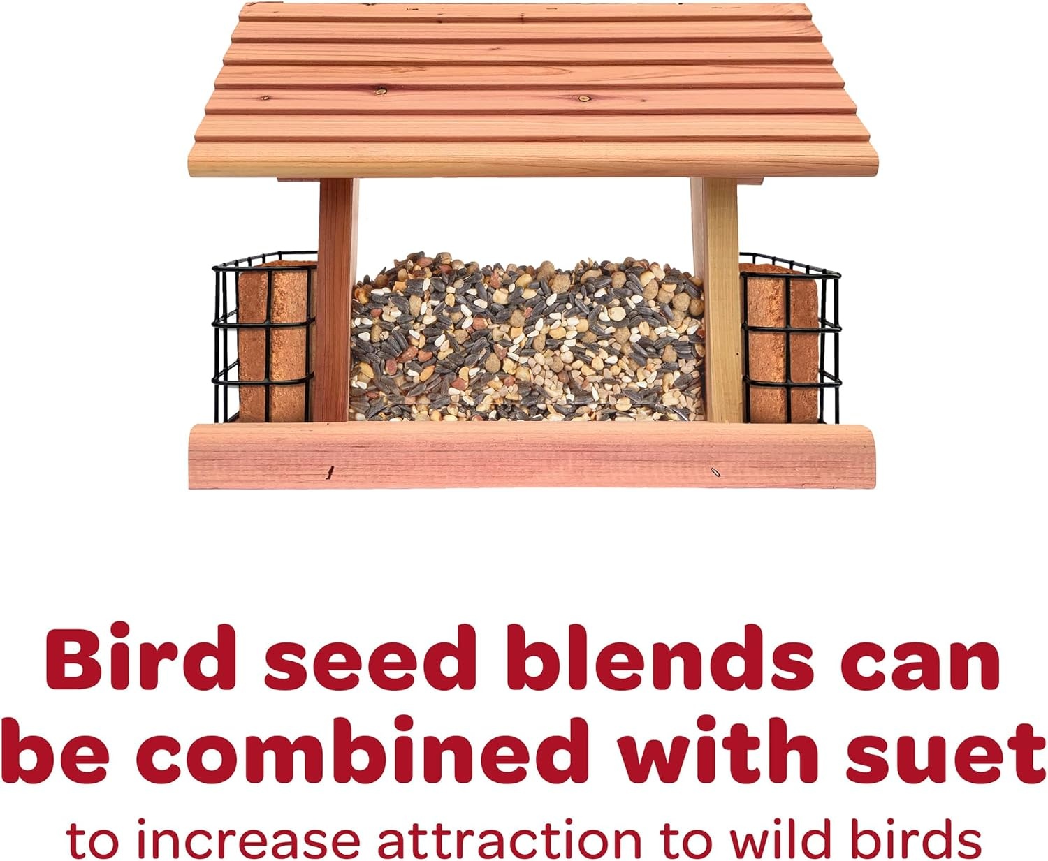 image:imageKaytee Wild Bird Finch Food Blend 3 lb3 Pound Pack of 1