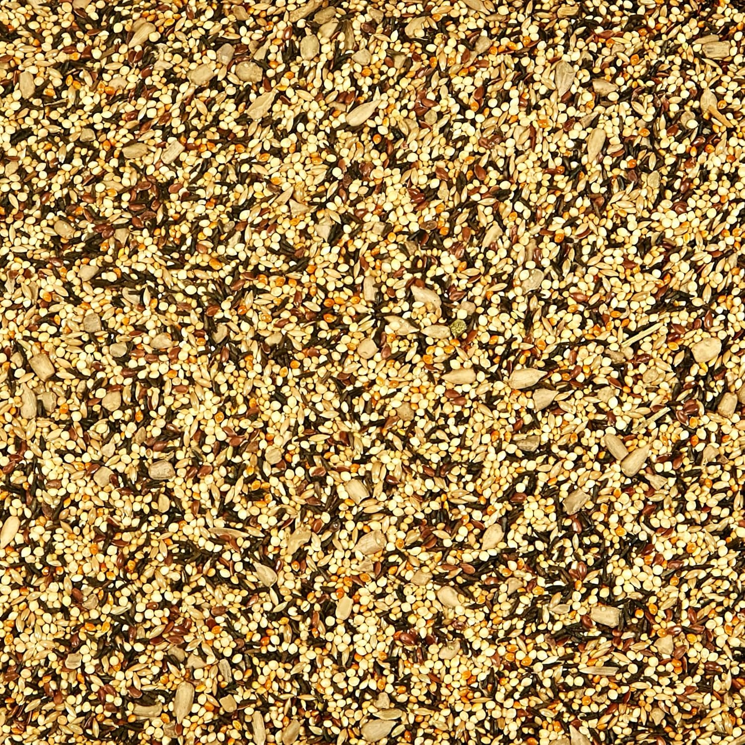 image:imageKaytee Wild Bird Finch Food Blend 3 lb5 Pound Pack of 1