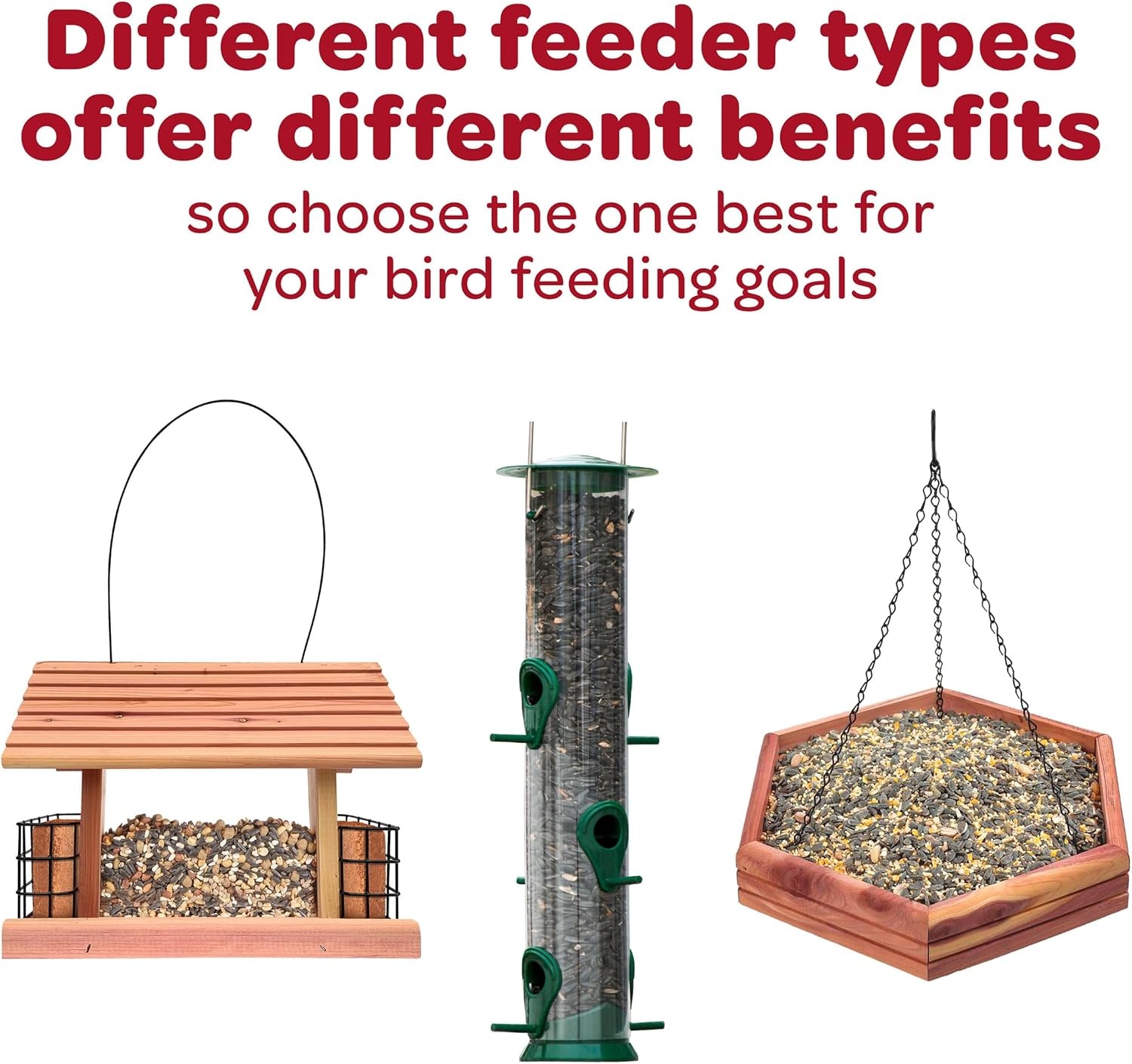 image:imageKaytee Wild Bird Finch Food Blend 3 lb5 Pound Pack of 1