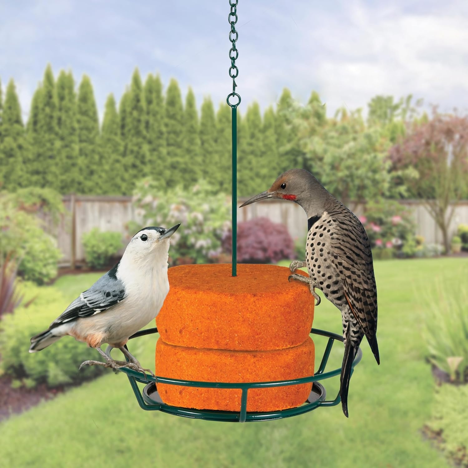 image:imageKaytee Wild Bird Food Peanut Crunch Suet Dough Stak 145 ozHot Pepper