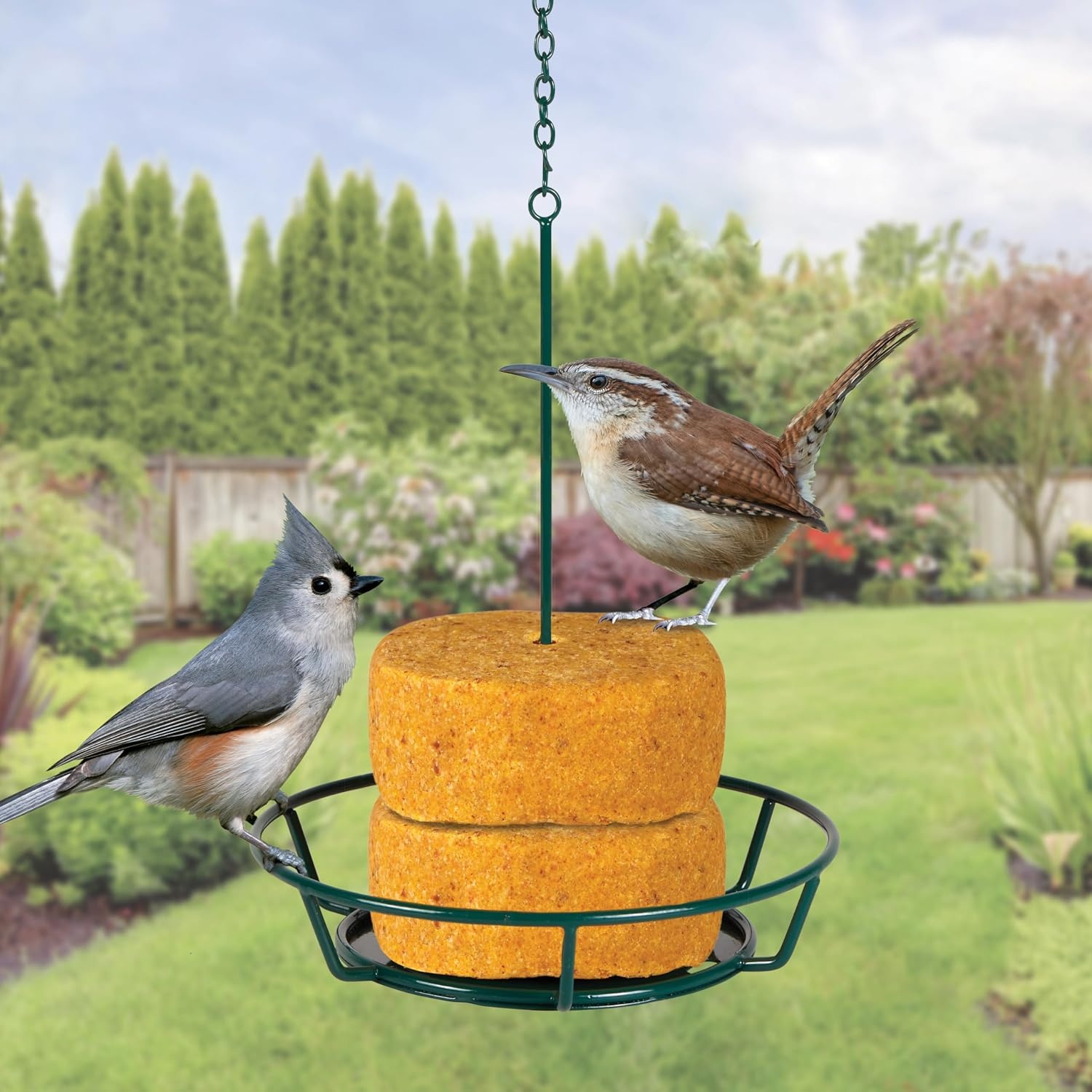 image:imageKaytee Wild Bird Food Peanut Crunch Suet Dough Stak 145 ozPeanut Crunch
