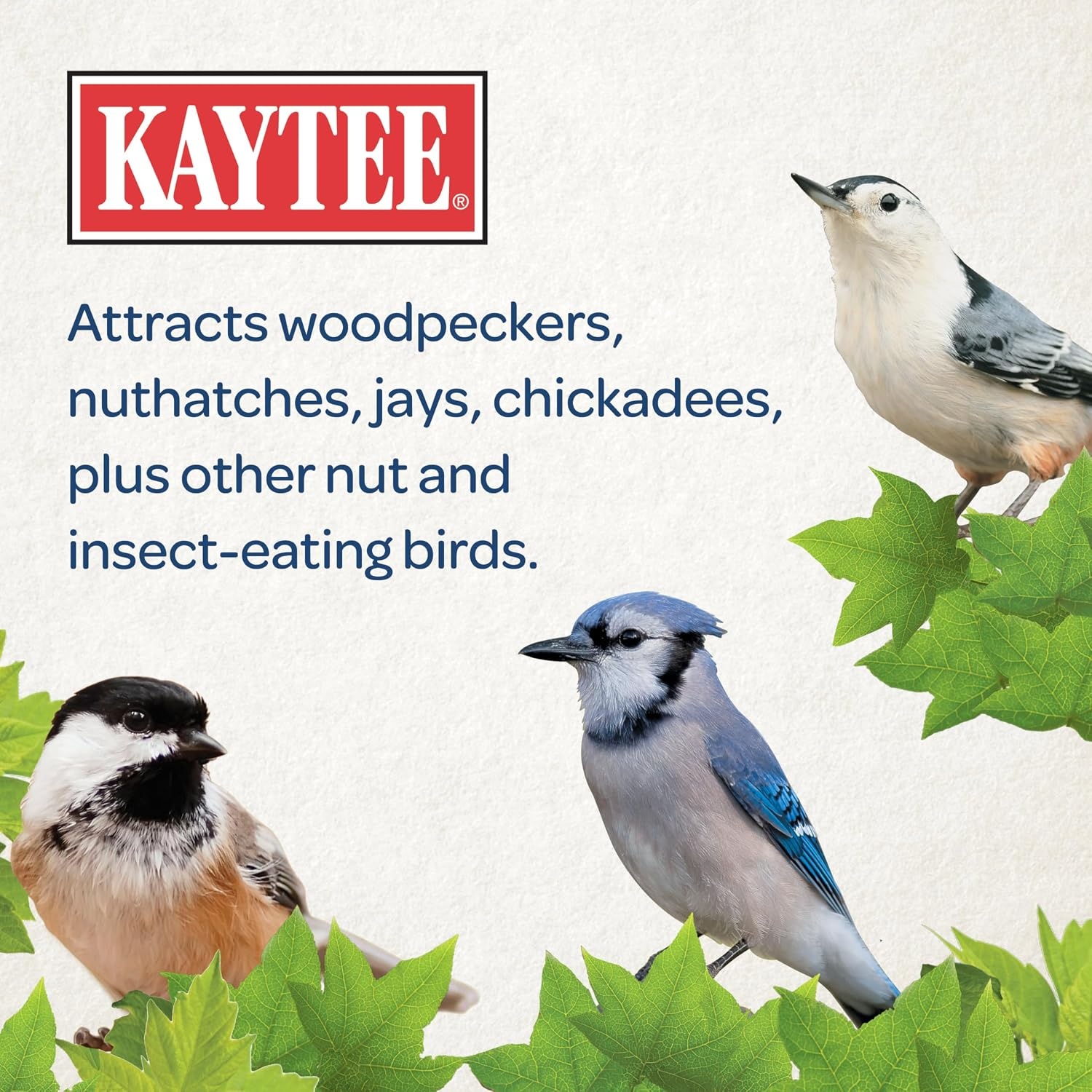 image:imageKaytee Wild Bird Food Peanut Crunch Suet Dough Stak 145 ozPeanut Crunch