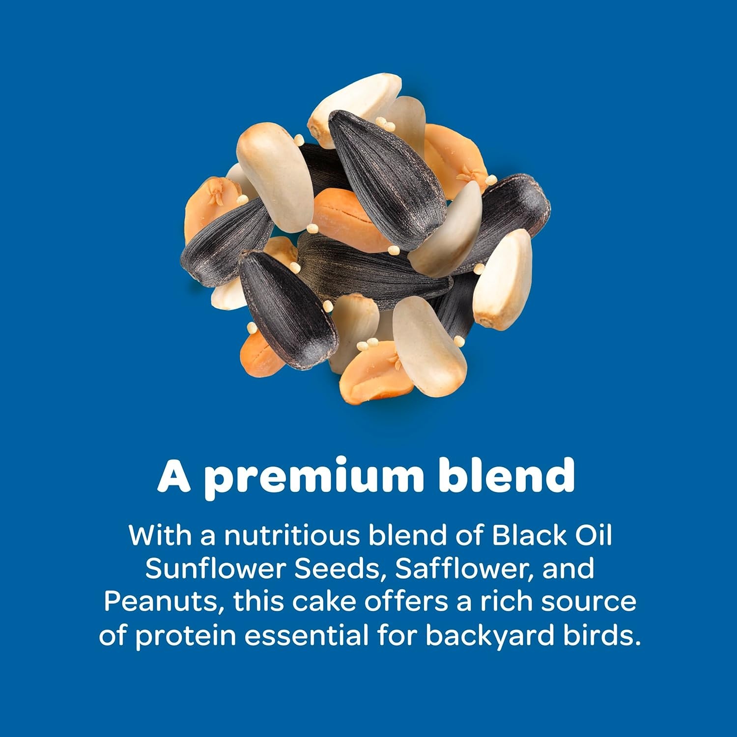 image:imageKaytee Wild Bird Gourmet Seed Cake For Cardinals Chickadees Juncos Titmice Woodpeckers and More 2 Pounds2 Pound Pack of 1