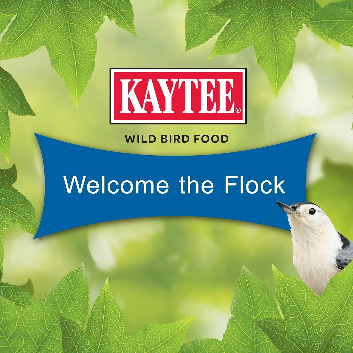 image:imageKaytee Wild Bird Gourmet Seed Cake For Cardinals Chickadees Juncos Titmice Woodpeckers and More 2 Pounds2 Pound Pack of 1