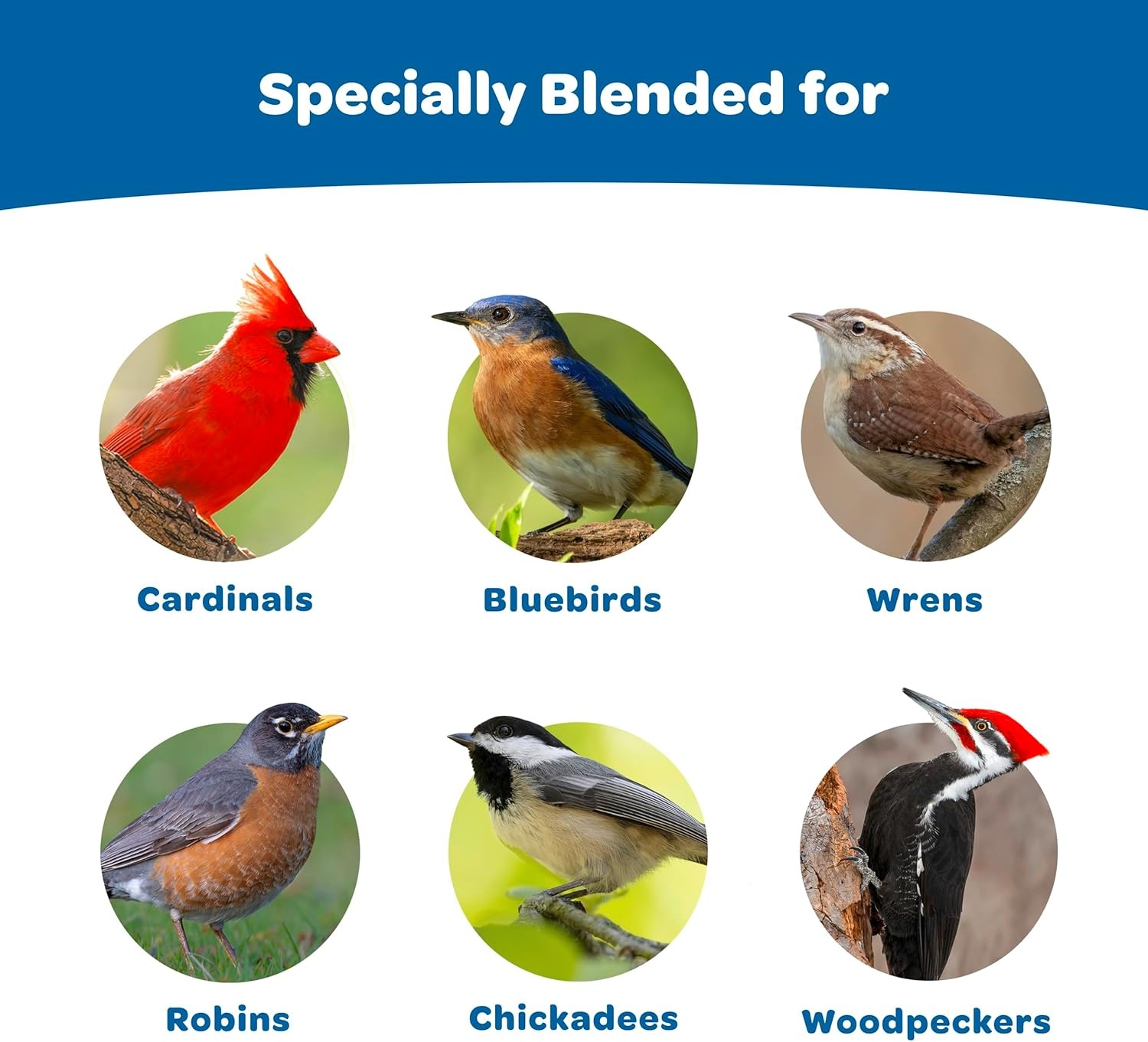image:imageKaytee Wild Bird Gourmet Seed Cake For Cardinals Chickadees Juncos Titmice Woodpeckers and More 2 Pounds2 Pound Pack of 6