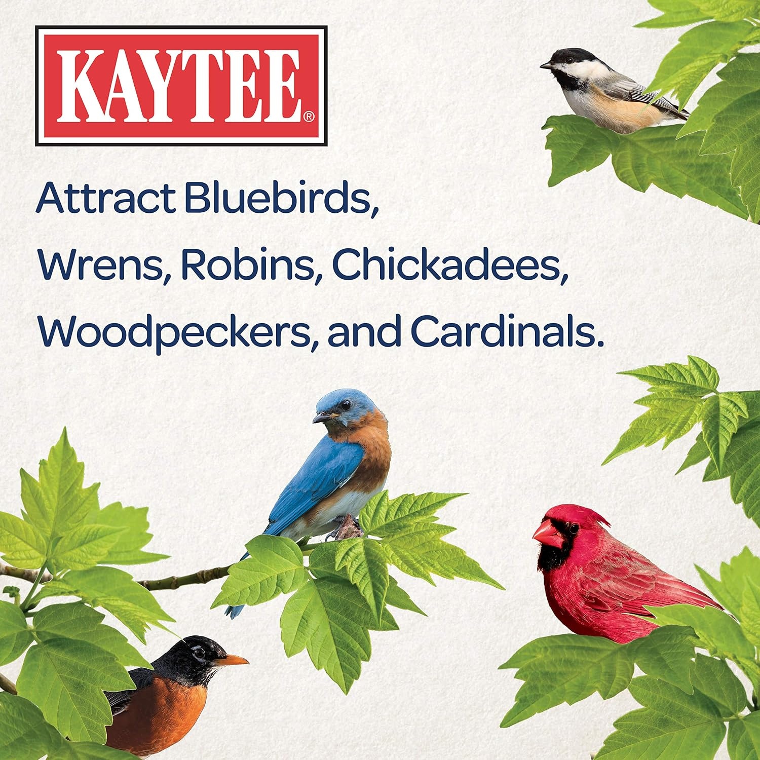 image:imageKaytee Wild Bird Gourmet Seed Cake For Cardinals Chickadees Juncos Titmice Woodpeckers and More 2 Pounds32 Ounce Pack of 2