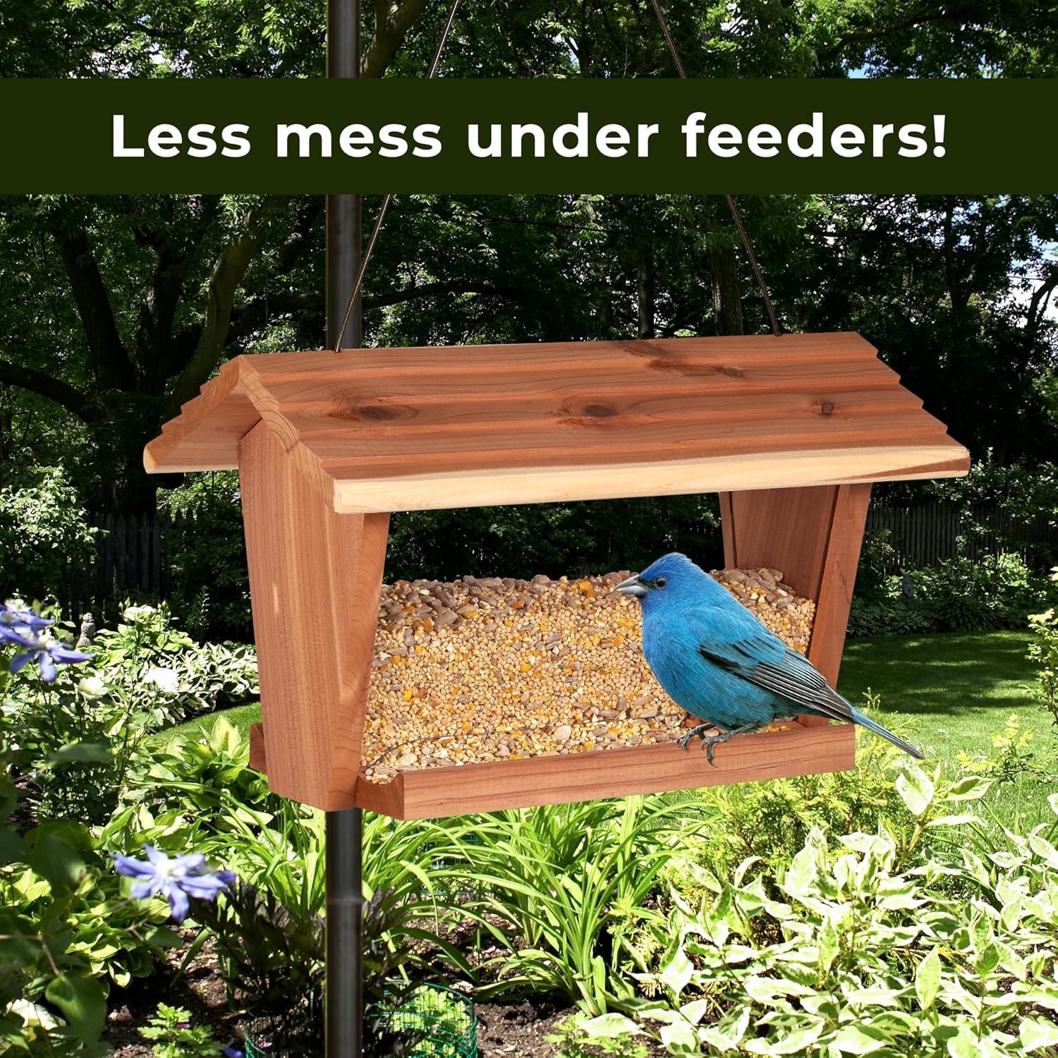 image:imageKaytee Wild Bird No Mess Food Seed Blend for Cardinals 5 Pound80 Ounce Pack of 3