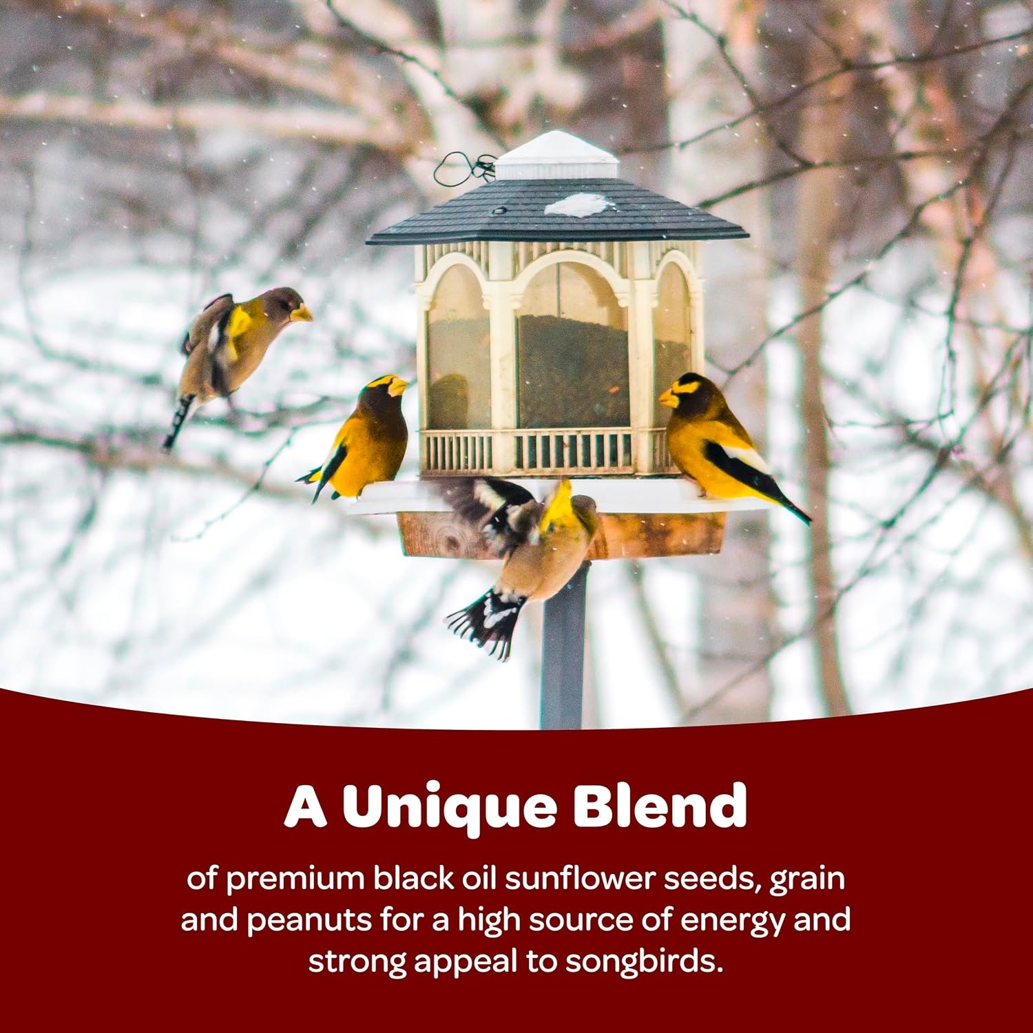 image:imageKaytee Wild Bird Songbird Blend Food Seed 7 Pound14 Pound Pack of 1