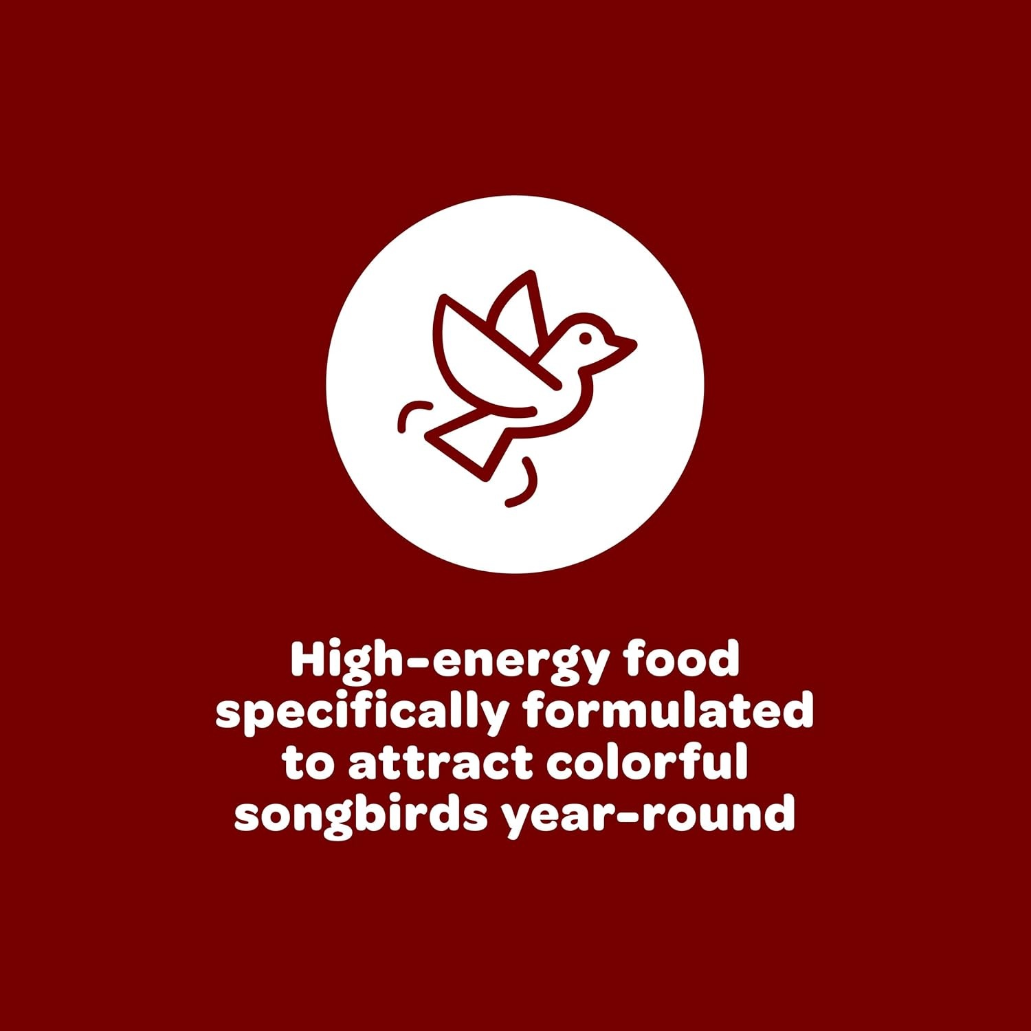 image:imageKaytee Wild Bird Songbird Blend Food Seed 7 Pound7 Pound Pack of 1