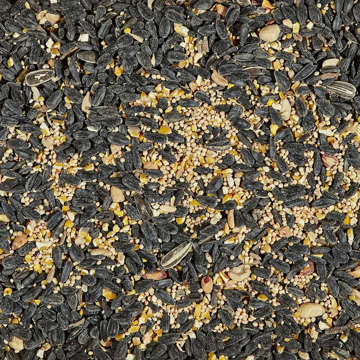 image:imageKaytee Wild Bird Songbird Blend Food Seed 7 Pound7 Pound Pack of 2