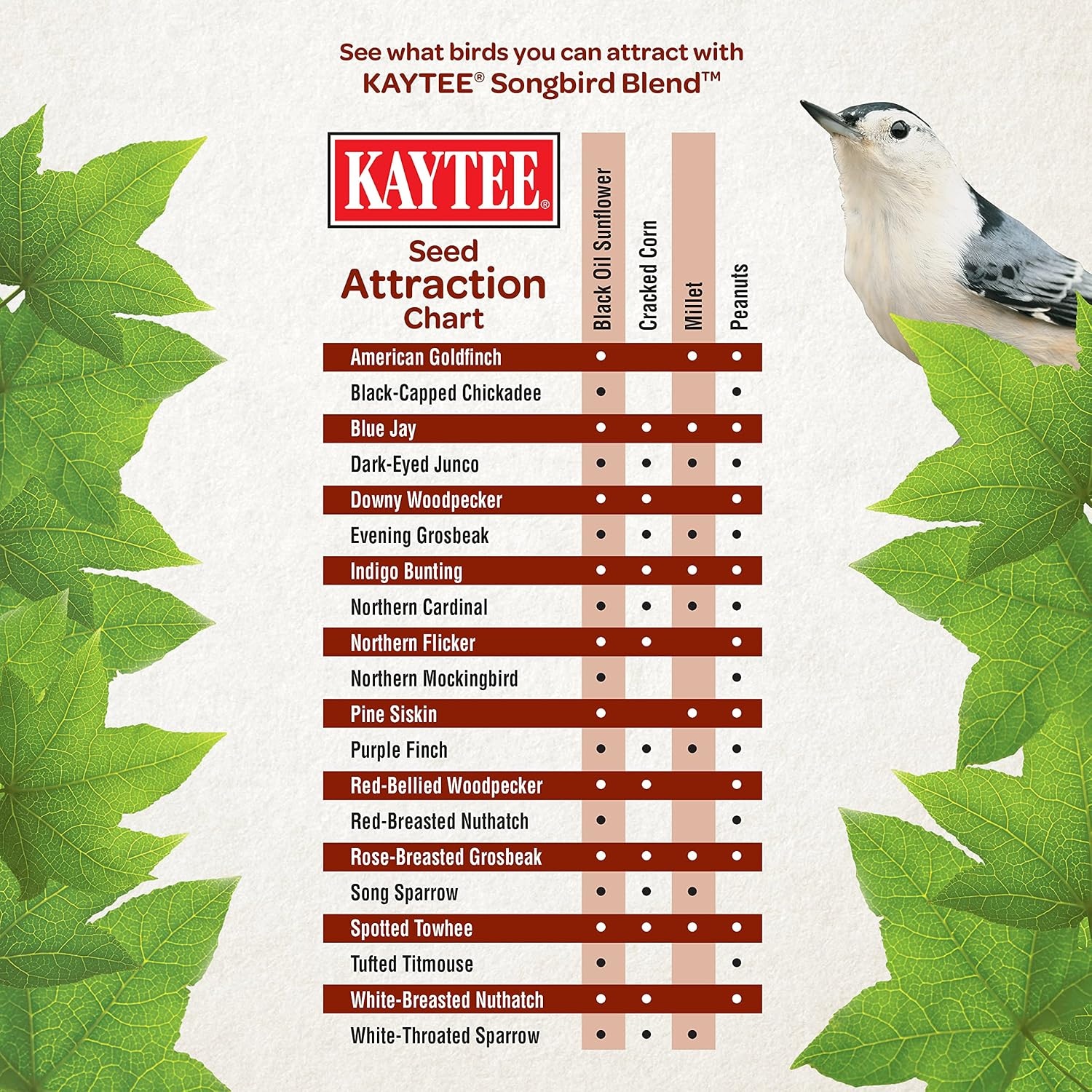 image:imageKaytee Wild Bird Songbird Blend Food Seed 7 Pound7 Pound Pack of 2
