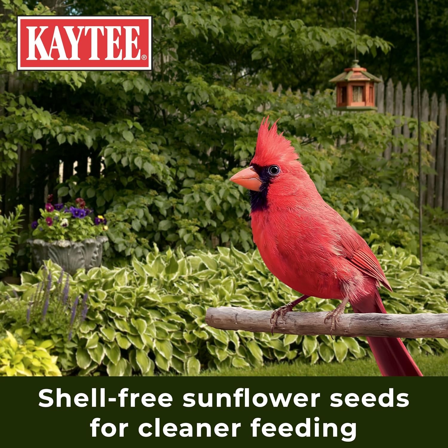image:imageKaytee Wild Bird Ultra No Mess Nut amp Fruit Food Seed Blend For Blue Jays Woodpeckers Juncos Cardinals Grosbeaks Sparrows and Finches 55 Pound55 Pound Pack of 2