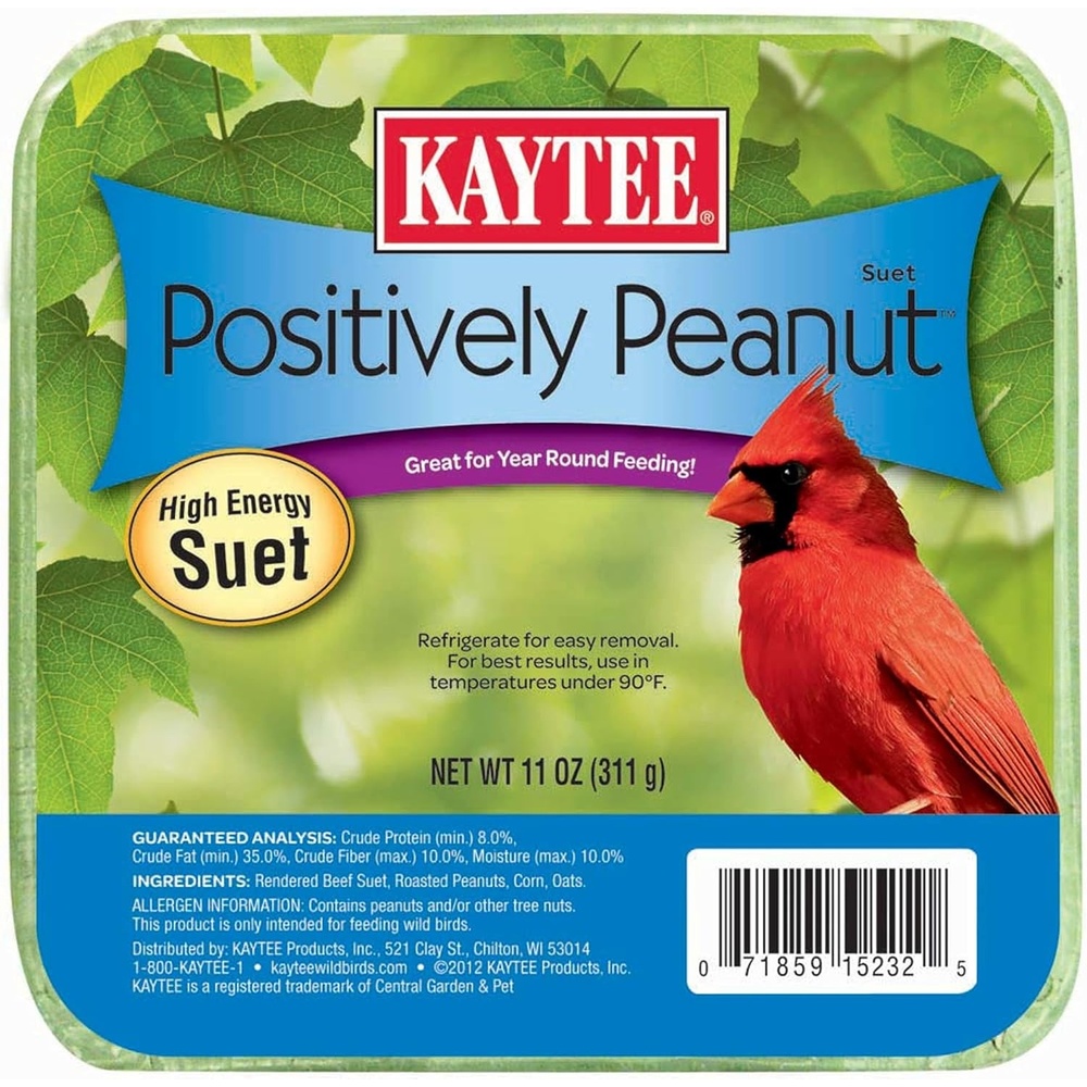 image:imageKaytee Suet amp Seed High Energy Mini Suet 1175 Ounces11 Ounce Pack of 1