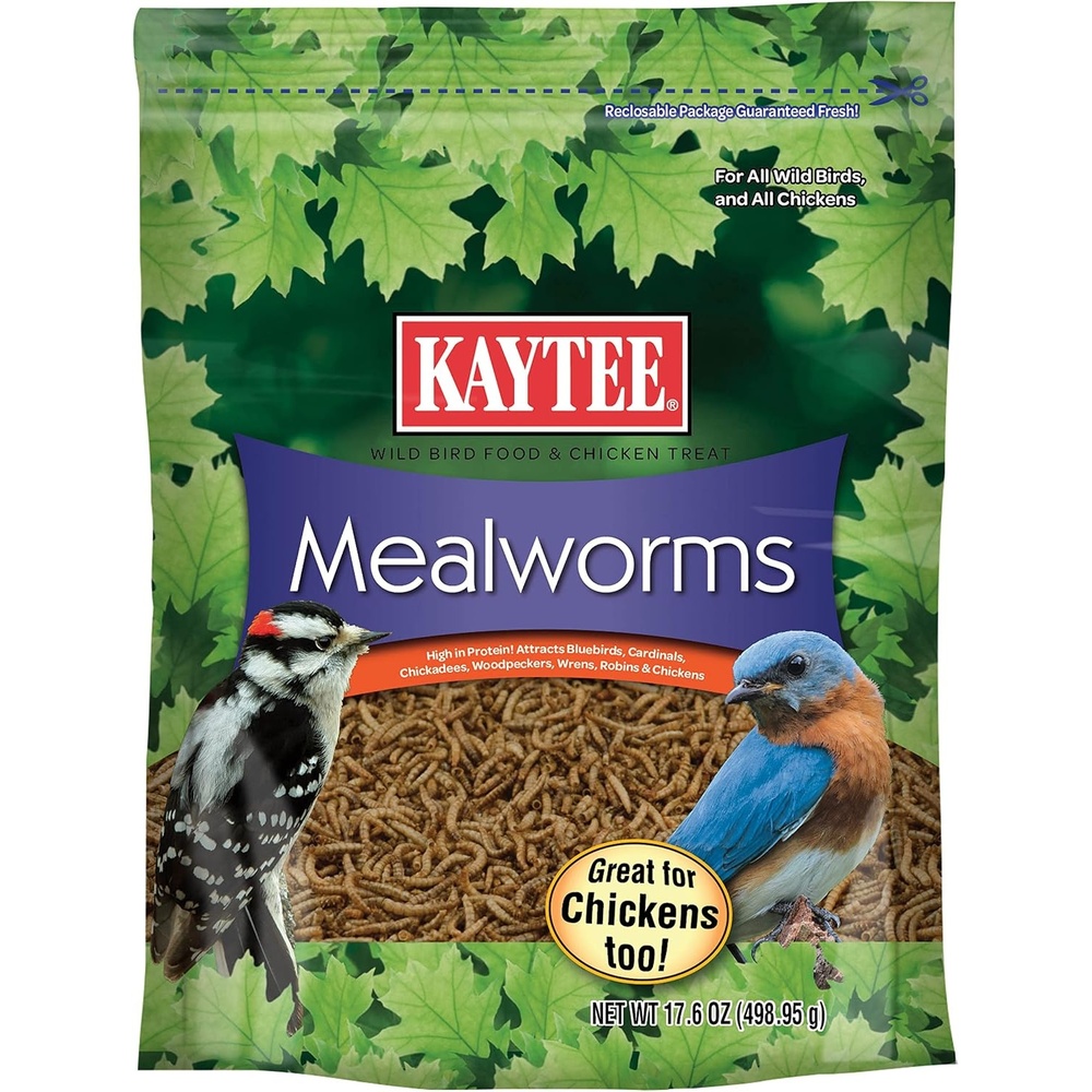 image:imageKaytee Wild Bird Food Mealworms For Bluebirds Wrens Robins Chickadees Woodpeckers Cardinals amp Chickens 35 Ounce11 Pound Pack of 1