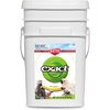 22 Pound (Pack of 1)