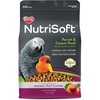 Parrot/Conure