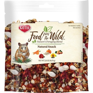 Kaytee Food from the Wild, Pet Hamster and Gerbil Food, 2 Ounce(Pumpkin)