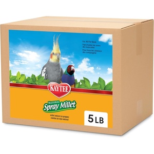Kaytee Spray Millet Treat for Pet Birds, 7 oz(125 Count (Pack of 1))