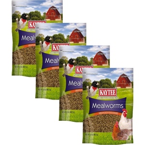 Kaytee Wild Bird Food Mealworms For Bluebirds, Wrens, Robins, Chickadees, Woodpeckers, Cardinals & Chickens, 3.5 Ounce(2 Pound (Pack of 4))