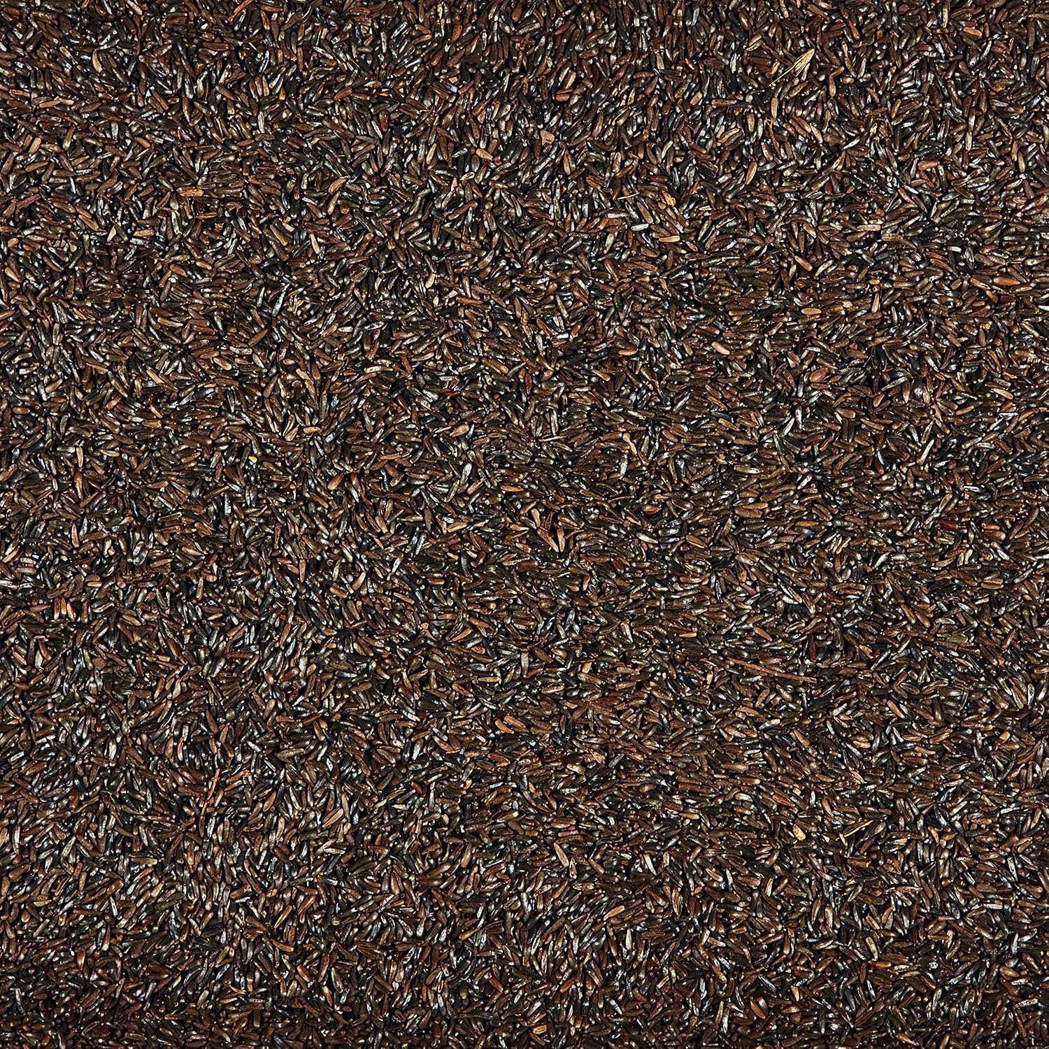 image:imageKaytee Nyjer Thistle Seed 3 Pound Pack of 120 Pound Pack of 1