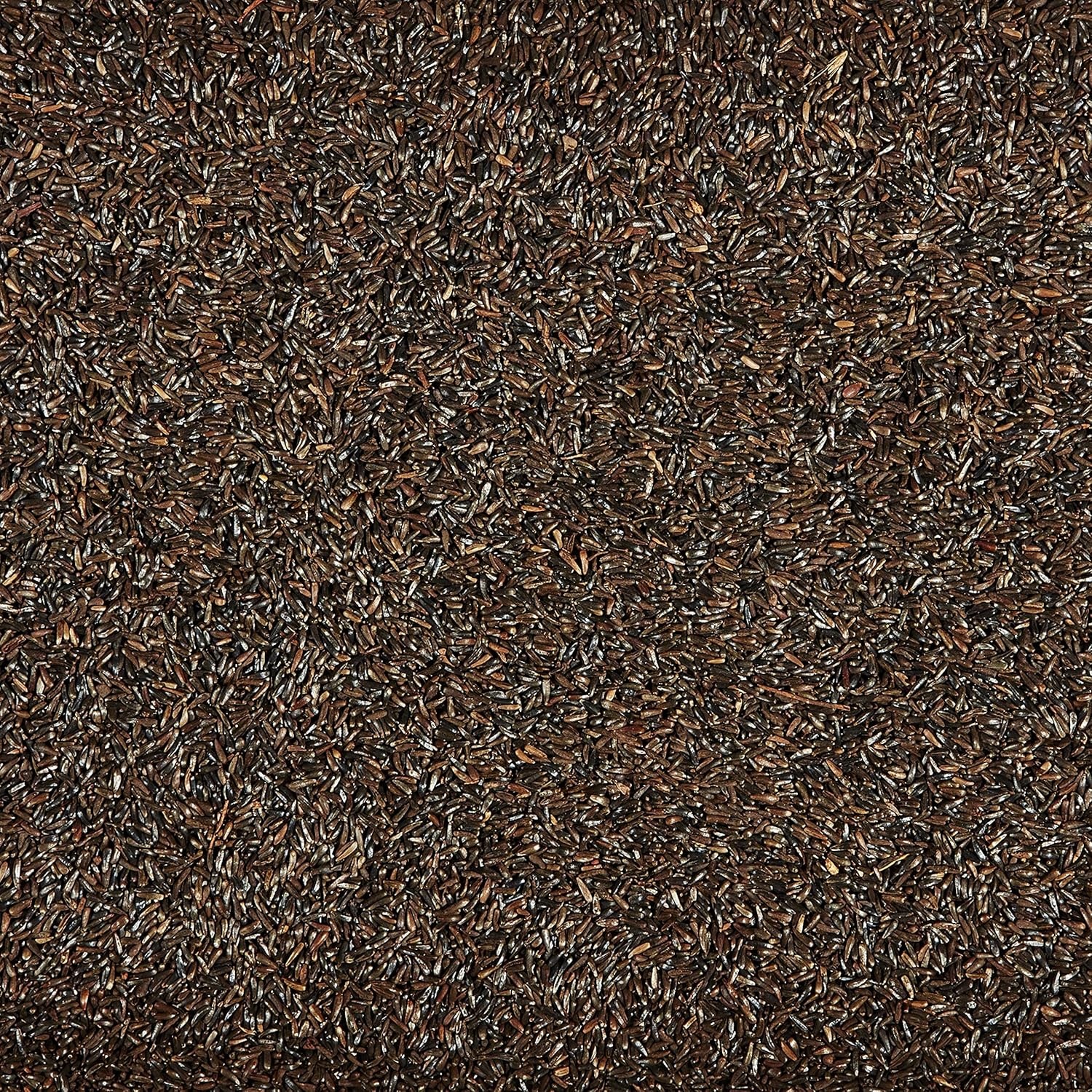 image:imageKaytee Nyjer Thistle Seed 3 Pound Pack of 13 Pound Pack of 1