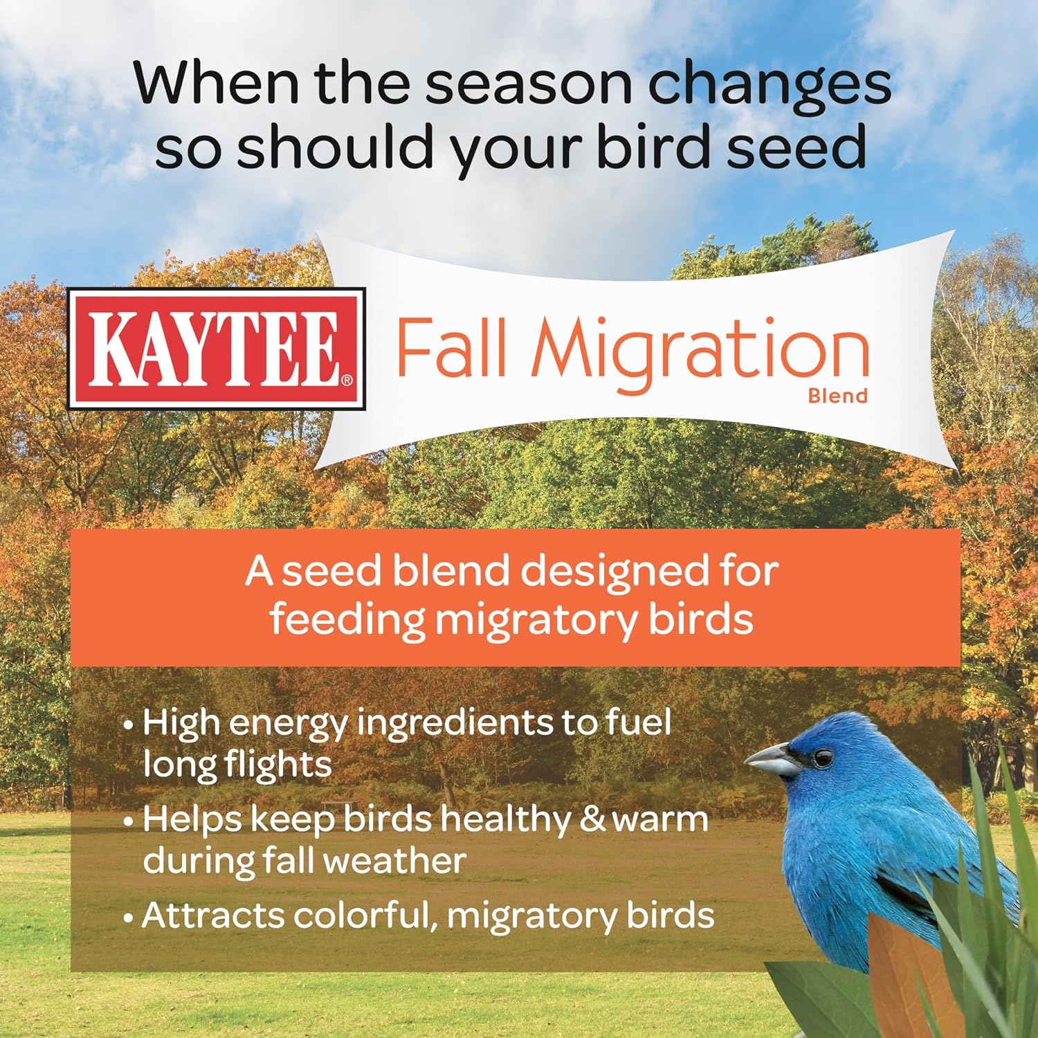 image:imageKaytee Wild Bird Food Summer Nesting Seed Blend 8 lbFall Migration