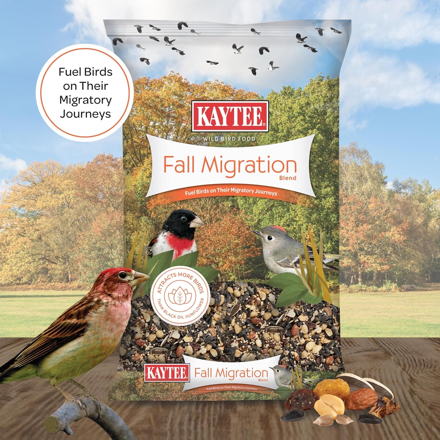 image:imageKaytee Wild Bird Food Summer Nesting Seed Blend 8 lbFall Migration