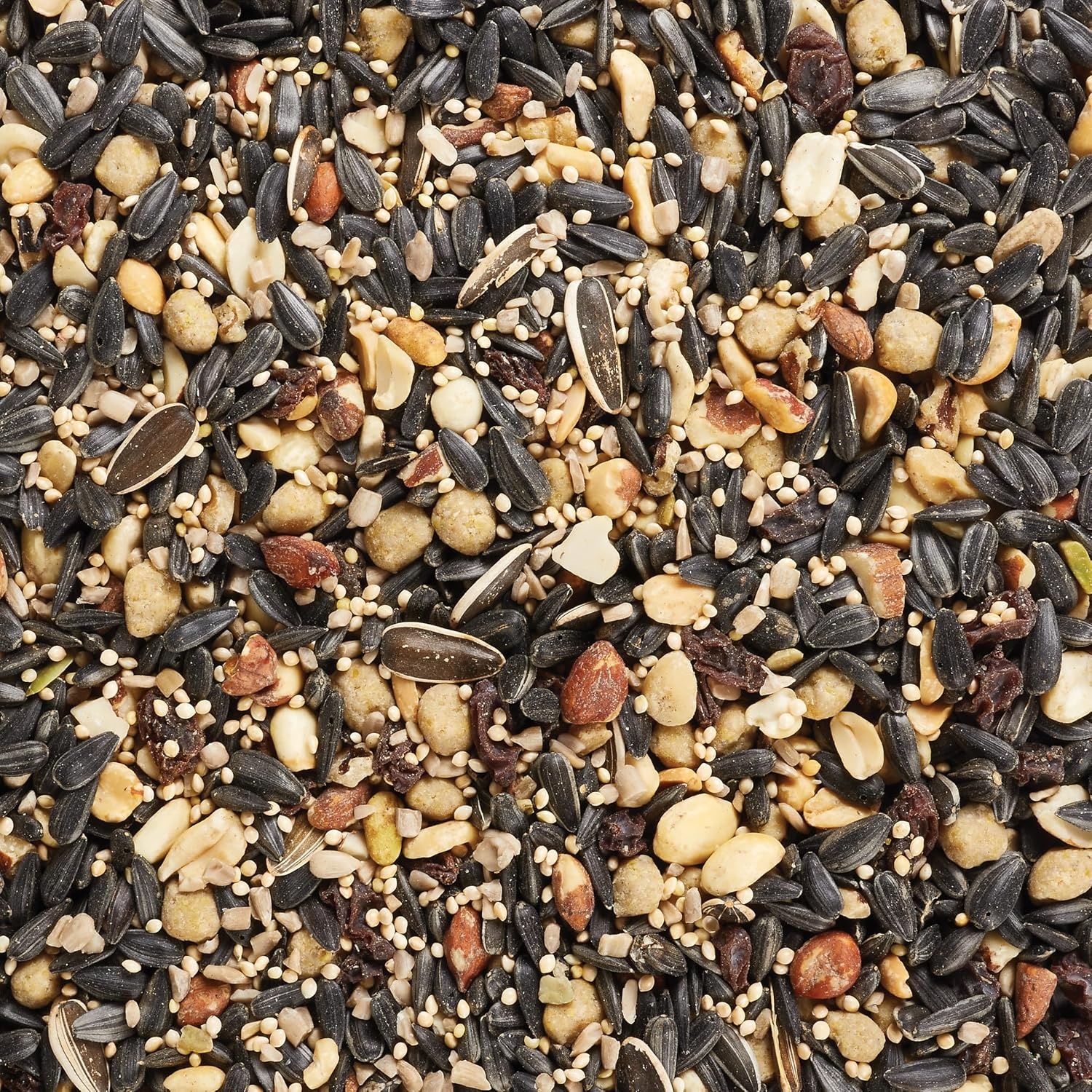 image:imageKaytee Wild Bird Food Summer Nesting Seed Blend 8 lbFall Migration