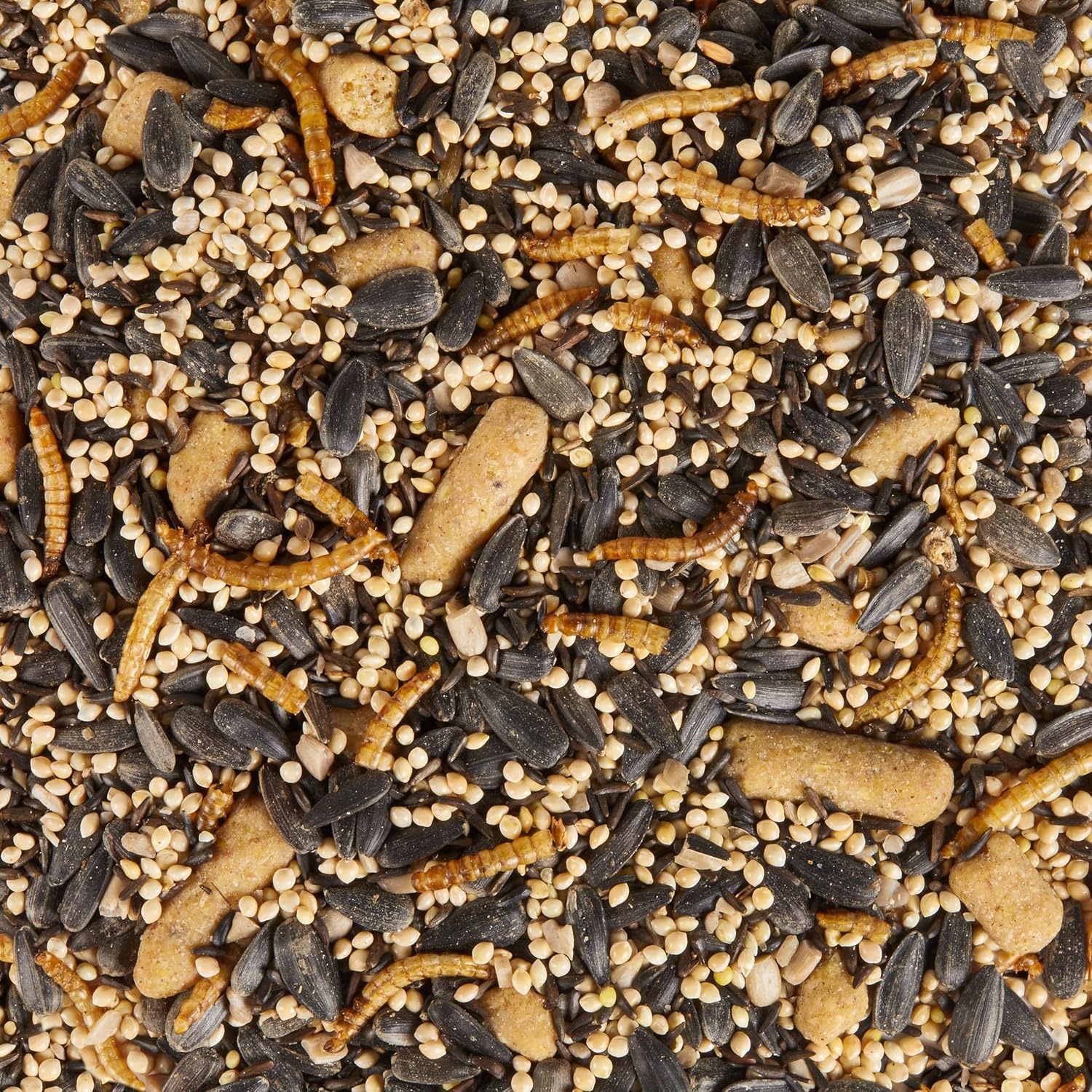 image:imageKaytee Wild Bird Food Summer Nesting Seed Blend 8 lbSpring Migration