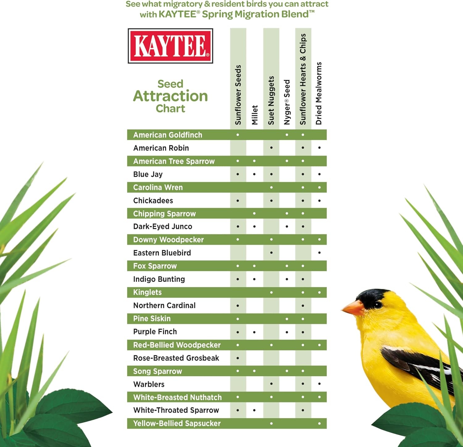 image:imageKaytee Wild Bird Food Summer Nesting Seed Blend 8 lbSpring Migration