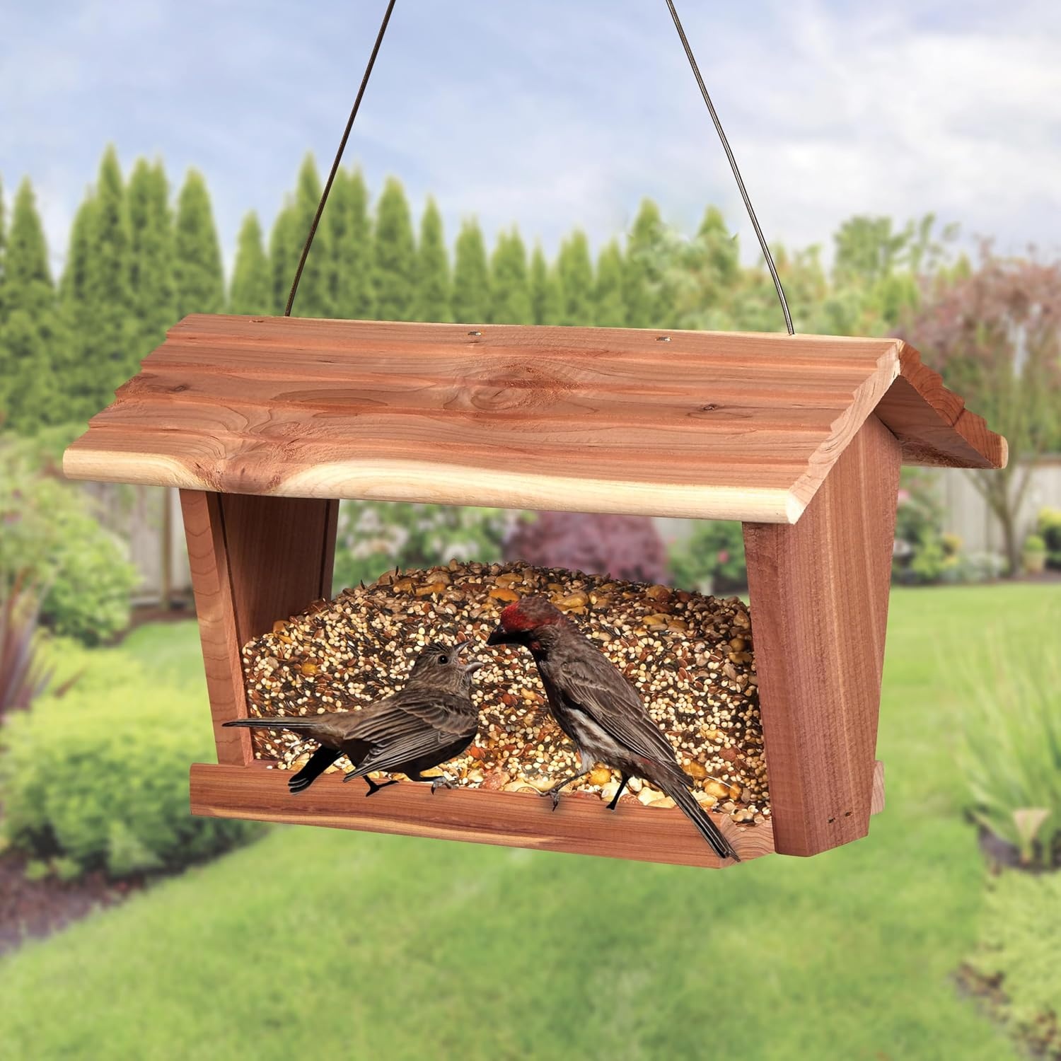 image:imageKaytee Wild Bird Food Summer Nesting Seed Blend 8 lbSummer Nesting