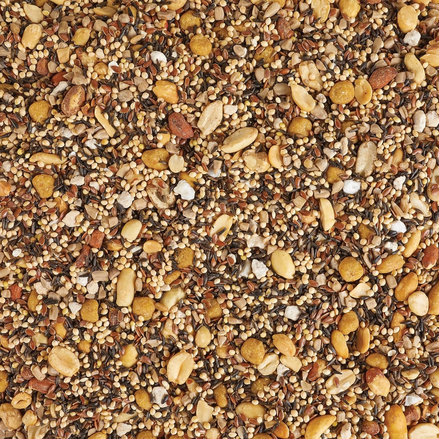 image:imageKaytee Wild Bird Food Summer Nesting Seed Blend 8 lbSummer Nesting