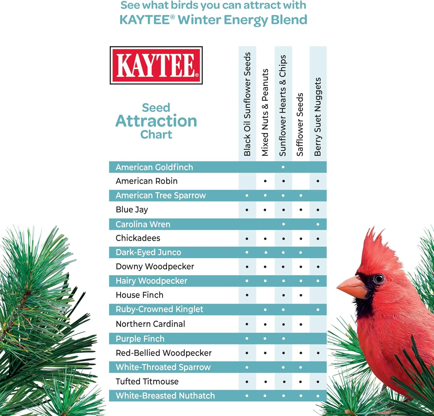 image:imageKaytee Wild Bird Food Summer Nesting Seed Blend 8 lbWinter Energy