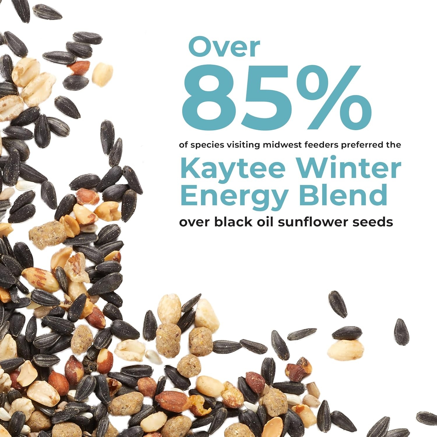 image:imageKaytee Wild Bird Food Summer Nesting Seed Blend 8 lbWinter Energy