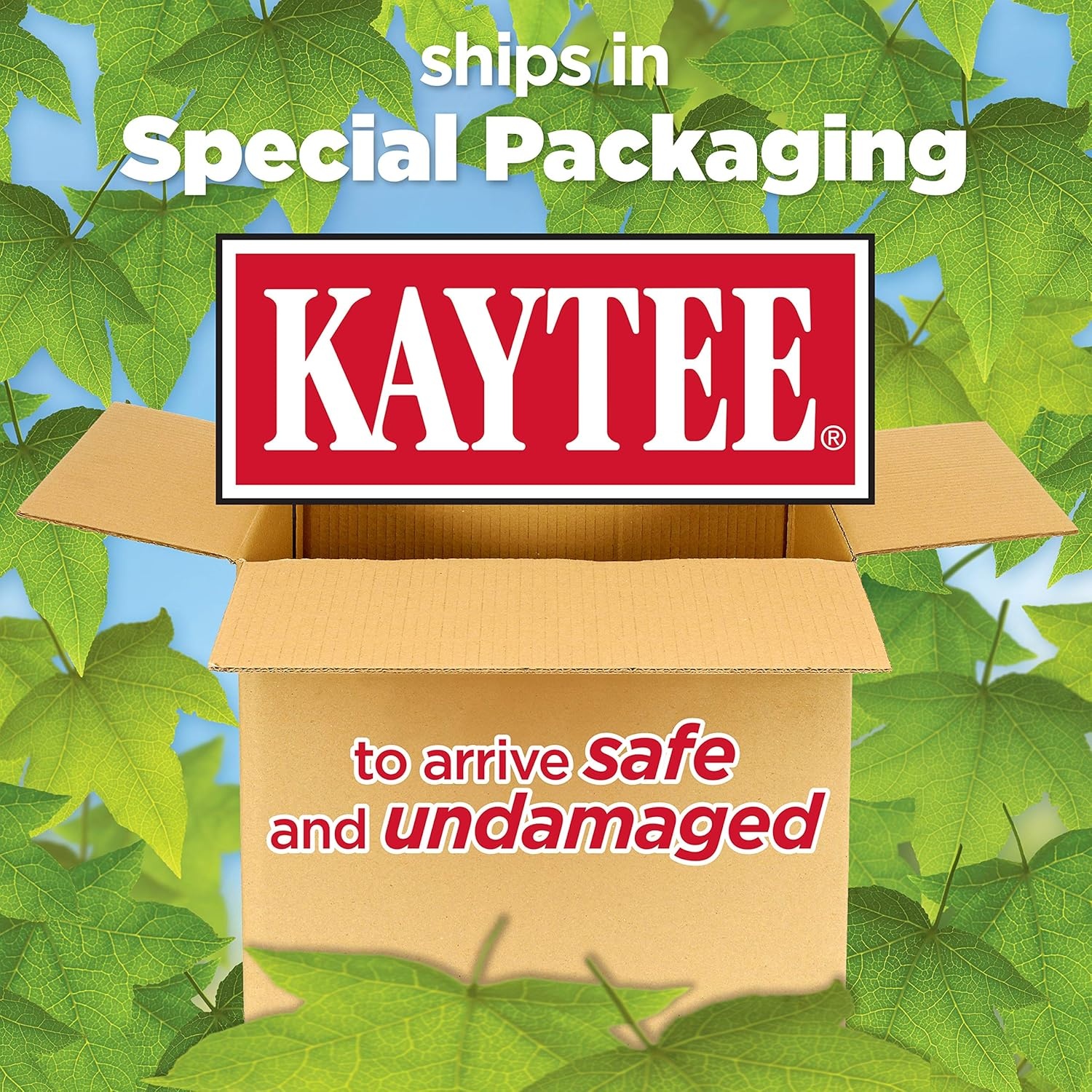 image:imageKaytee Wild Bird Gourmet Seed Cake 2 Pound 6 PackWoodpecker 6 Pack