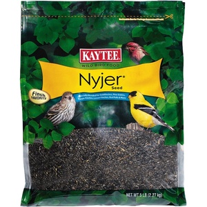 Kaytee Nyjer Thistle Seed, 3 Pound (Pack of 1)(5 Pound (Pack of 1))